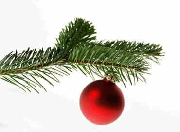 nordmanns-gran-gren-med-julepynt.jpeg